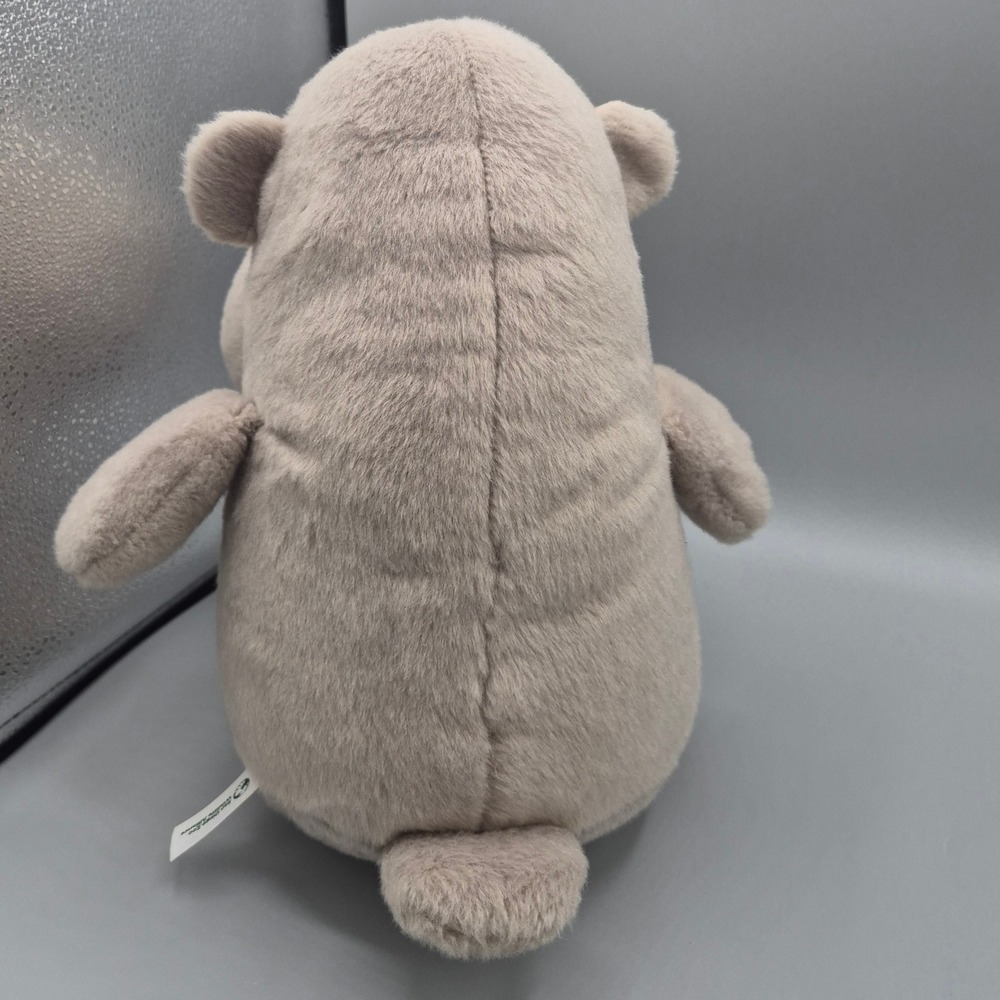 Aurora San Diego Zoo Wildlife Alliance Hippo Plush Gray Stuffed Animal 2022 - Picture 3 of 9